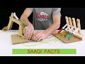 | Saaqi Facts Video | Creative Work | #facts #youtubeshorts @saaqifacts @TopTrending