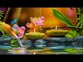 Relaxing Sleep Music & Insomnia: Stress Relief, Relax, Sleep, Spa & Meditation Music, Heart Healing