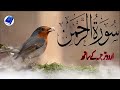 SURAH RAHMAN TARJUMA KE SATH QARI AL SHAIKH ABDUL BASIT ABDUL SAMAD | Ep 029