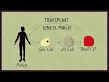 What are induced pluripotent stem cells? Narrated by Dr. Mick Bhatia