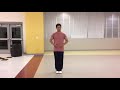 Master Zhang （Chen Taiji Old Frame Routine 1）1