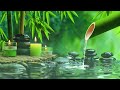 Relaxing Music to Relieve Stress, Anxiety and Depression 🌿 Heals The Mind, Body and Soul #25