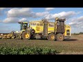 Ropa - Fendt - Hawe / Rübenernte - Harvesting Beets