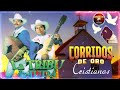 Los Corridos Cristianos más Poderosos y Impactantes 🔥 Rey López y Sus Nuevos Peregrinos Mix