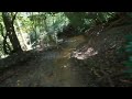 Mountain Biking in Pisgah, NC (Middle and Lower Black)