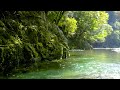 【自然の音風景】 エメラルド色のせせらぎ / Nature Sounds – The Emerald Colored Babbling of a Stream