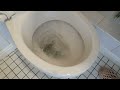 Removing limescale from under the water line in the toilet bowl.