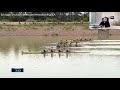 Rowing Technique at its best: THE BEST U23 QUAD I HAVE EVER SEEN (and one of the best races as well)