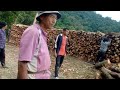 Cutting fire wood for Christmas 2024.|| Khukishe Village||North east India||