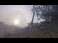 blowing up A tree with tannerite.