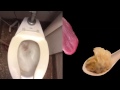 Will It Flush? - Fried Won-Tons