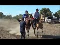 Grupo Laberinto-  Corridos de Caballos - DJ Zook