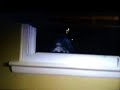 Bigfoot peeking in window