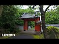 Kyoto Wander Plan - Shinzenko-ji Hida-in Spring | 京都散策計画 新善光寺 悲田院 春 | 京都漫步计划 新善光寺 悲田院 春