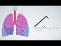 Fine and Coarse Crackles: Lung Sounds For Beginners 🔥🔥🔥