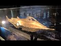 20,000 Leagues Under The Sea, 11 foot, Nautilus Filming Miniature, Extended Cut