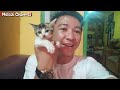 MAU PULANG KAMPUNG, MALAH RESCUE KUCING CANTIK DI PINGGIR JALAN !!