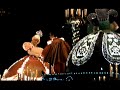 【Tokyo Disneyland】エレクトリカルパレード・ドリームライツ（Tokyo Disneyland Electrical Parade Dreamlights）2013年3月撮影