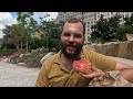 Donut Tour of Washington DC!