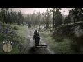 Red Dead Redemption 2_20181104163141