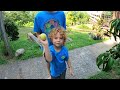 Picking Peaches in north Georgia