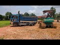 Wow Many Dump Trucks Stuck In Mud | Work Hard Bulldozer  with New Project Fill Land