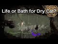 Life or Bath for Dry Gourmand? (Rain World)
