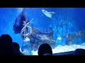 Mertailors mermaid aquarium (2)