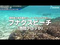 最新版！2024年のGW・梅雨明け夏の宮古島旅行でオススメな実際に行って綺麗だったビーチ10選【インスタ映えフォトスポット/17ENDビーチ/ウミガメ/クマノミマンション・モデルコース】