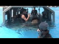 Helo Dunker – Helicopter Underwater Egress Training