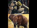 Shrek Vs The Animals