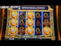 SEMINOLE HARD ROCK HOTEL & CASINO TAMPA ROOM, POOL & HIGH LIMIT MONEY LINK SLOT MACHINE