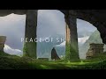 You left the Humanity And Starts Living In Forest | Chill Ambience Tracks