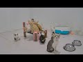 Funniest Cats and Dogs Videos 😸😅 Best Funny Cats Videos 😻😹