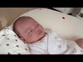 【育児vlog】生後1ヶ月の赤ちゃんと新米ママの1日👶🏻