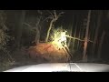 Dark Forest - Driving on Lost Trail