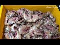 Pasar Ikan Pantai Remis Selangor Sea Food Market