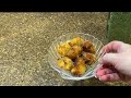 Fried Cauliflower Bits Keto Appetizer - Holiday Keto Recipe Challenge