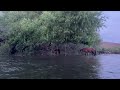 Kayak with wild horses at sunset in Arizona