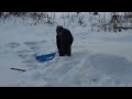 Sledding off roof fail