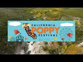 The California Poppy, Wildflower Tourism, and Super Blooms