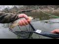EP 92 FLY FISHING FOR TROUT | Nice Mill Dam