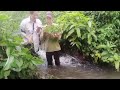 The couple went to pick fern and bamboo shoots, rural life l Nguyen Van Hanh