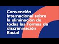 Convención Internacional sobre la Eliminación de todas las Formas de Discriminación racial