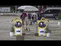 World championship of working equitation- speed test- Nicole e Inca