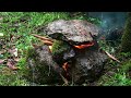 Camping in a thunderstorm - Heavy Rain, thunder