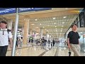 [LIVE] 트와이스 '정·사·미·다·채', 김포국제공항 출국✈️TWICE Airport Departure 2024.7.26 Newsen