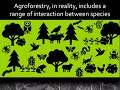 Introduction to Agroforestry