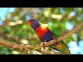 Beautiful Relaxing Music For Stress Relief, Peaceful Piano Music, Gentle Music, 🍃 Refresh Your M...