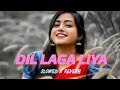 Dil Laga Liya [ Slowed + Reverb] | Hits song | Lofi Mix l @allmusic